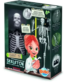 SQUELETTE 45CM 45 H cm. Les épaules, coudes, mains, jambes et genou...