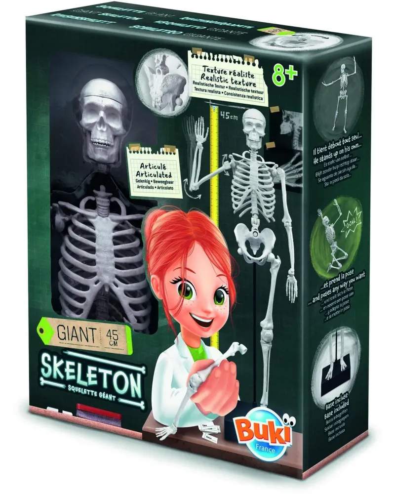 SQUELETTE 45CM 45 H cm. Les épaules, coudes, mains, jambes et genou...