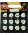 PACK 12 BILLES DINO 3D  12 maillets incrustés d'un mini-dinosaure. ...
