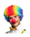 PERRUQUE DE CLOWN MULTICOLOR