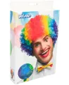 PERRUQUE DE CLOWN MULTICOLOR