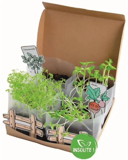 LE PETIT JARDINIER BIO POTAGER 4 TYPES D