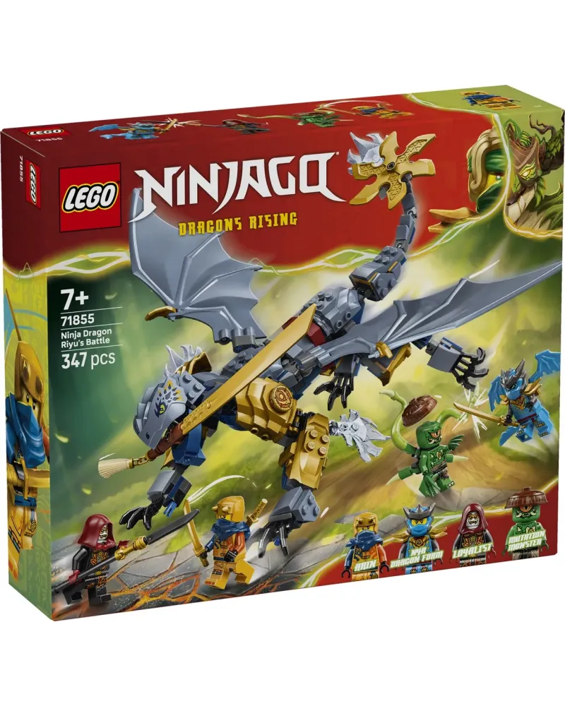 LA BATAILLE DU DRAGON NINJA RIYU