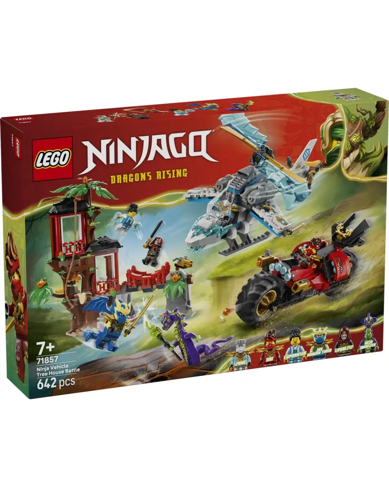 LA CABANE ET LES VEHICULES DES NINJAS