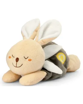 LAPIN DOUDOU BOUILLOTTE
