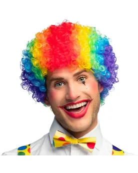 PERRUQUE DE CLOWN MULTICOLOR