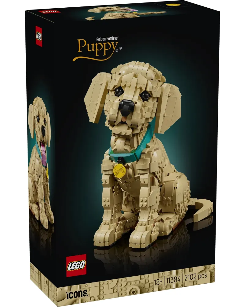 LE CHIOT GOLDEN RETRIEVER