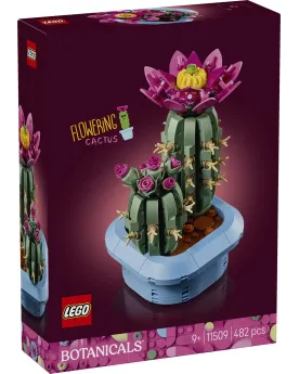 CACTUS FLEURI