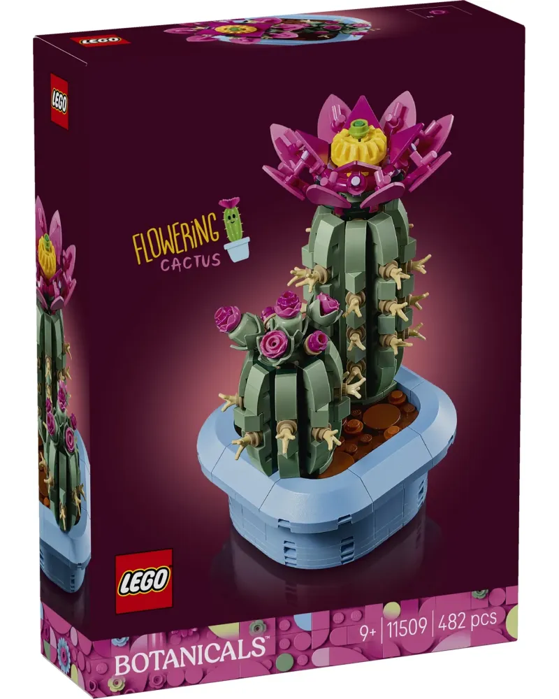 CACTUS FLEURI