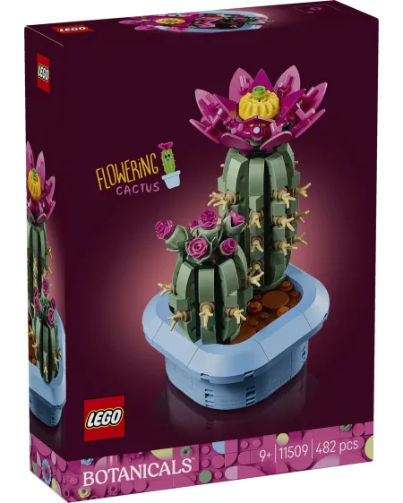 CACTUS FLEURI