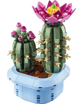 CACTUS FLEURI