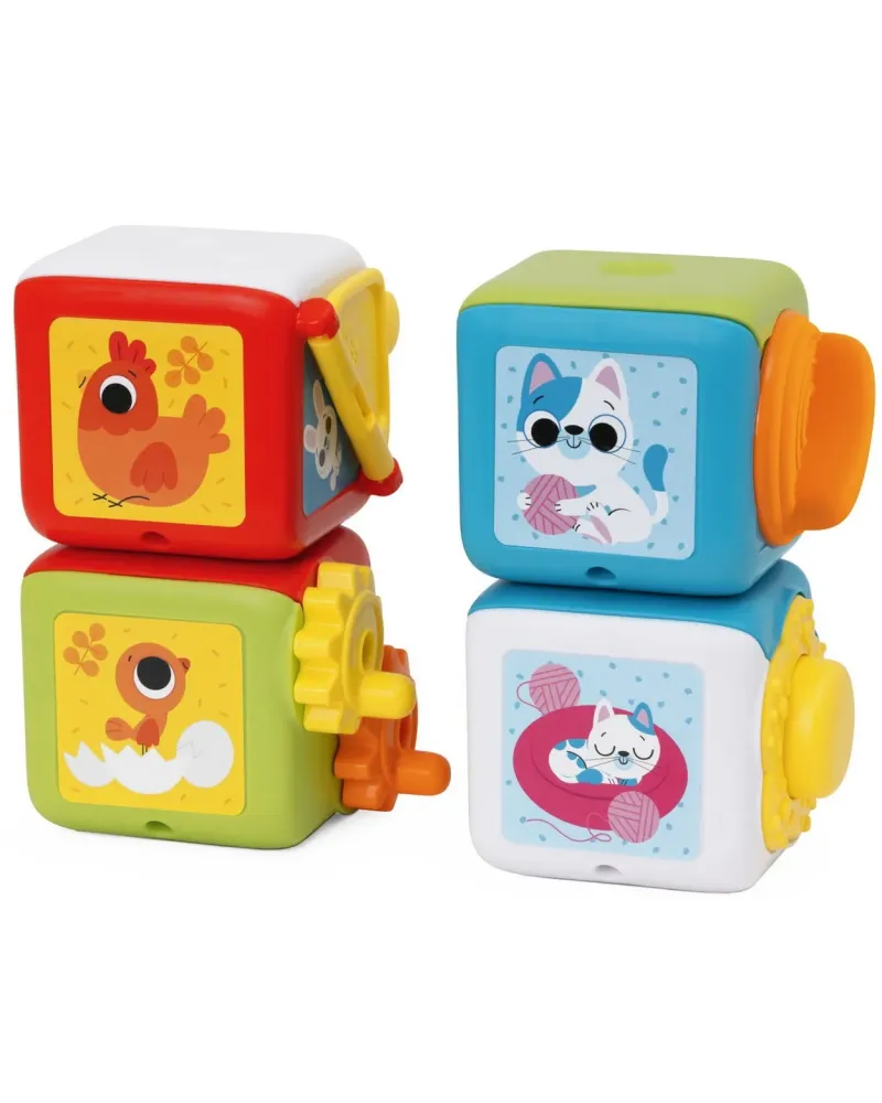 CUBE MULTI ACTIVITES