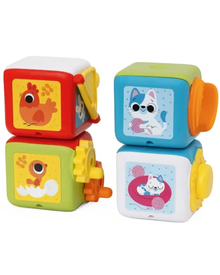 CUBE MULTI ACTIVITES