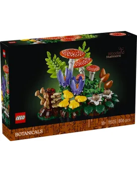 LES CHAMPIGNONS DES BOIS