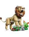 ANIMAUX SAUVAGES : LE LION MAJESTUEUX