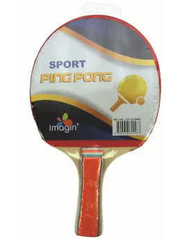 1 RAQUETTE DE PING PONG