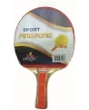 1 RAQUETTE DE PING PONG