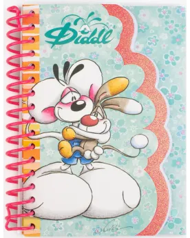 CARNET FORME A6 DIDDL 2ASS.