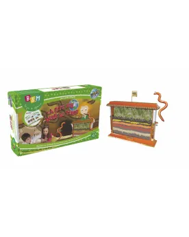 LA CITE DES VERS DE TERRE  Fais pousser un mini jardin et découvre ...