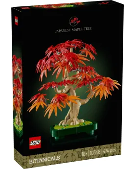 BONSAI D'ERABLE ROUGE DU JAPON