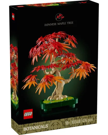 BONSAI D'ERABLE ROUGE DU JAPON