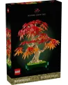 BONSAI D'ERABLE ROUGE DU JAPON