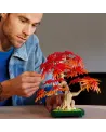 BONSAI D'ERABLE ROUGE DU JAPON