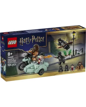HAGRID ET HARRY S'ECHAPPENT DE PRIVET DR