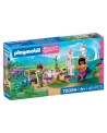 PRINCESSES ET TAPIS VOLANT