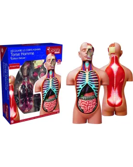 ANATOMIE LE CORPS HUMAIN GEANT 54 PCES  Démonte le corps pièce par ...