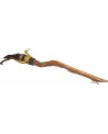 HARRY POTTER NIMBUS 2000  90 cm. Reproduction du balai qui apparaît...