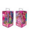 STEFFI COFFRET 4 THEMES  Chaque face de la boîte comprend une Steff...