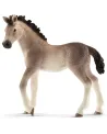 POULAIN ANDALOU   SCL13822 SCHLEICH Âge Minimum: 5A -Âge Maximum: 1...