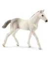 POULAIN HOLSTEIN   SCL13860 SCHLEICH Âge Minimum: 5A -Âge Maximum: ...