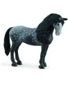 JUMENT PURE RACE ESPAGNOLE   SCL13922 SCHLEICH Âge Minimum: 5A -Âge...