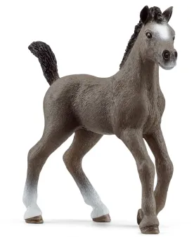 POULAIN SELLE FRANCAIS   SCL13957 SCHLEICH Âge Minimum: 5A -Âge Max...