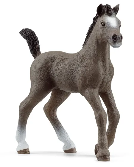 POULAIN SELLE FRANCAIS   SCL13957 SCHLEICH Âge Minimum: 5A -Âge Max...