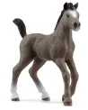 POULAIN SELLE FRANCAIS   SCL13957 SCHLEICH Âge Minimum: 5A -Âge Max...