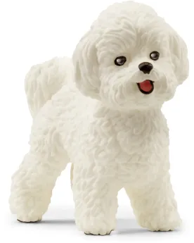 BICHON FRISE   SCL13963 SCHLEICH Âge Minimum: 5A -Âge Maximum: 12A ...