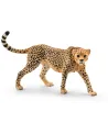 GUEPARD FEMELLE   SCL14746 SCHLEICH Âge Minimum: 5A -Âge Maximum: 1...