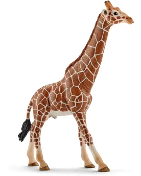 GIRAFE MALE   SCL14749 SCHLEICH Âge Minimum: 5A -Âge Maximum: 12A -...