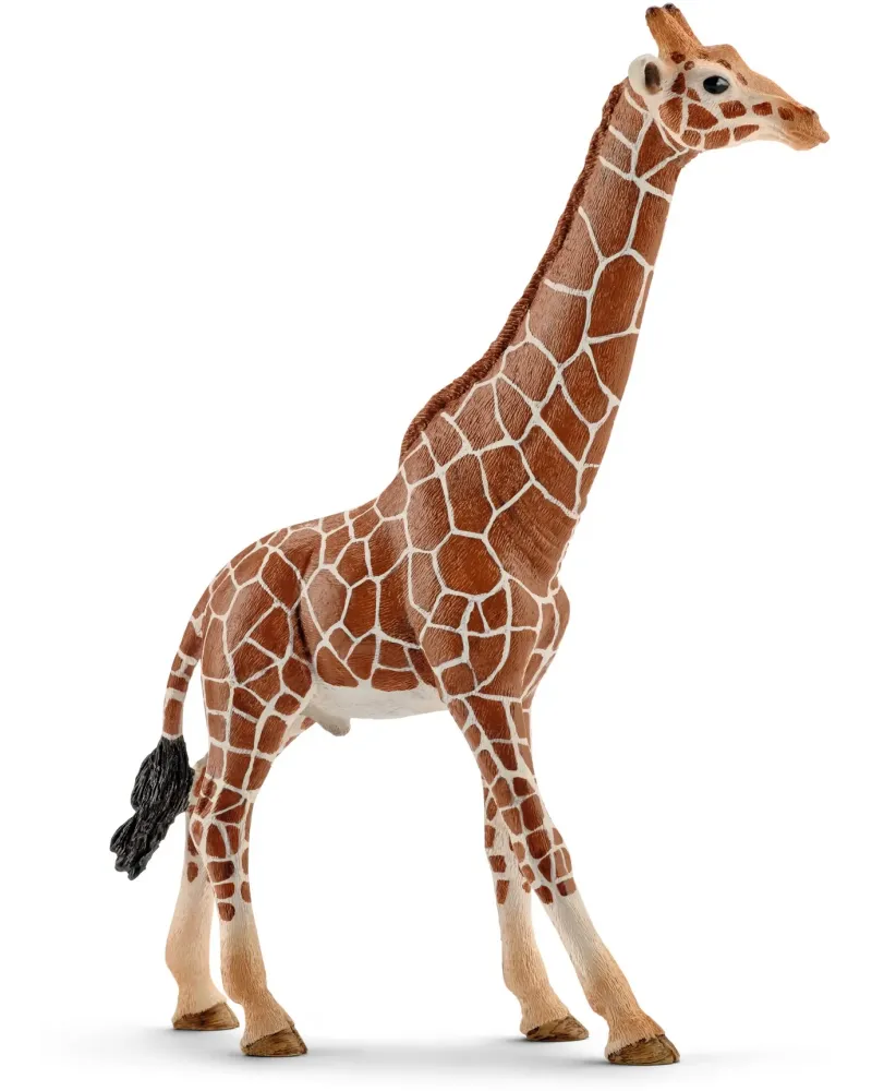GIRAFE MALE   SCL14749 SCHLEICH Âge Minimum: 5A -Âge Maximum: 12A -...