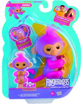 FINGERLINGS SINGE POURPRE CHARLI  Petit ouistiti qui réagit à plus ...