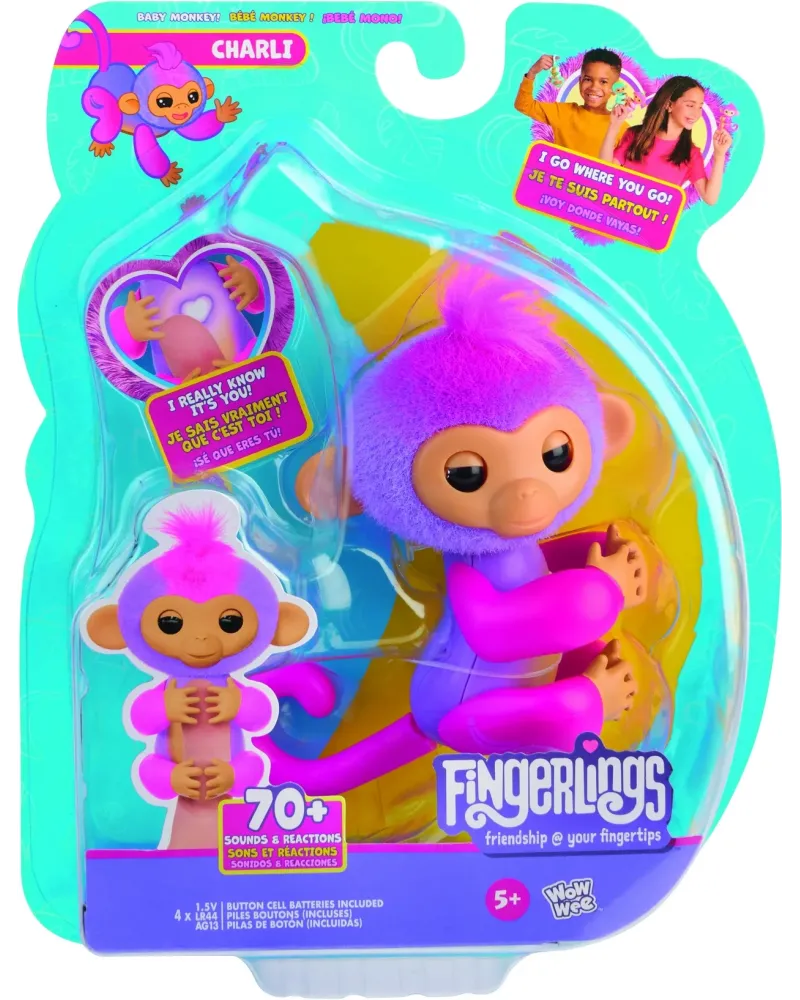 FINGERLINGS SINGE POURPRE CHARLI  Petit ouistiti qui réagit à plus ...