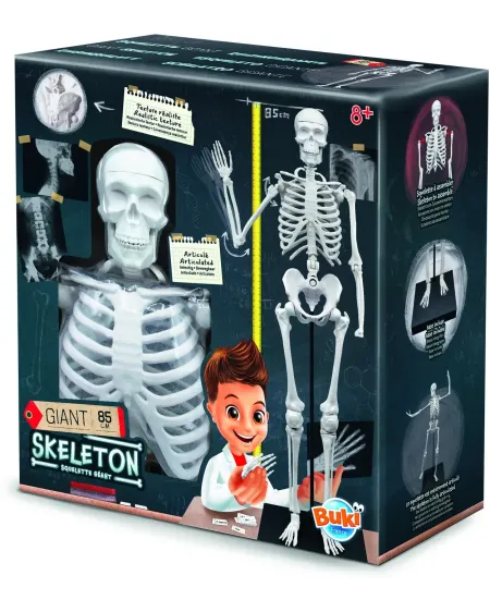SQUELETTE 85CM 85 cm. Les épaules, les coudes, les mains, les jambe...