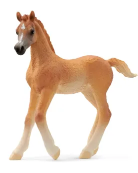POULAIN ARABE   SCL13984 SCHLEICH Âge Minimum: 5A -Âge Maximum: 12A...