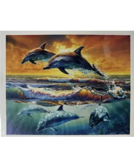 PPN 40X50 AUBE DES DAUPHINS  40 x 50 H cm. Inclus : toile imprimée ...