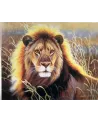 PPN 40X50 LION DANS LA SAVANE + CHASSIS  40 x 50 H cm. Inclus : toi...