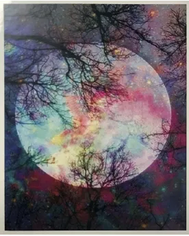 PPN 40X50 PLEINE LUNE REFLETS MULTICOLOR  40 x 50 H cm. Inclus : to...