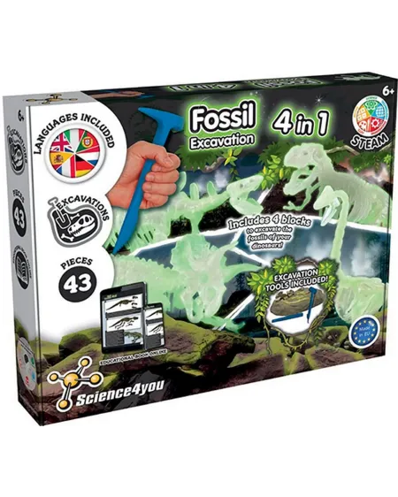 4 DINOS GLOW IN THE DARK A EXCAVER 4 activités pour découvrir les f...
